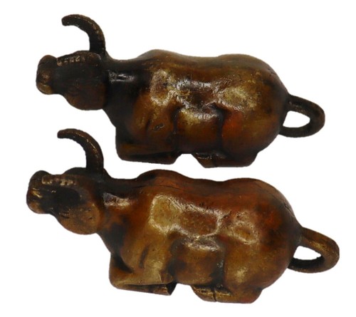 Coppia tori decorazione - coppia,